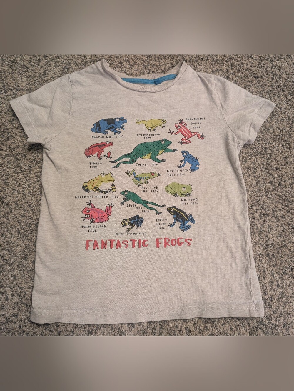 Boys Mini Boden 8/9 Frog T Shirt Tee Reptile
